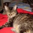 My�ulka-21 let� babi�ka